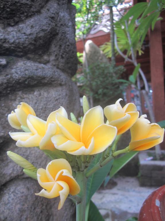 Mini Tiga Homestay Pangandaran Dış mekan fotoğraf